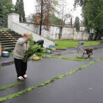 IMG_4388
