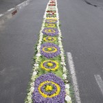 IMG_4427