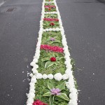 IMG_4429