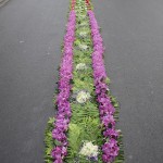 IMG_4436