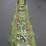 IMG_4438