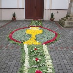 IMG_4451