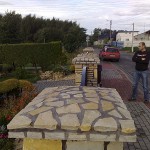 20100915876