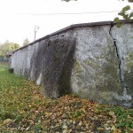 20100918931