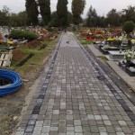 20100910863