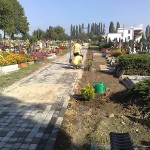 20100918919