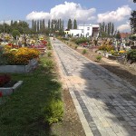 20100918920
