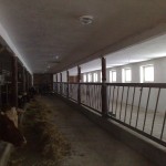 201012181129