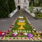 IMG_4005