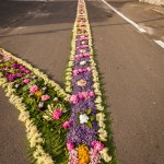 IMG_4011