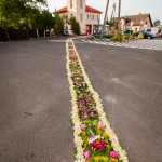 IMG_4014