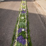 IMG_4024