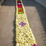 IMG_4039