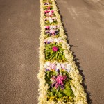 IMG_4051