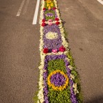 IMG_4052