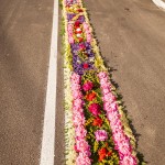 IMG_4053
