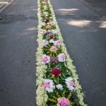 IMG_4056