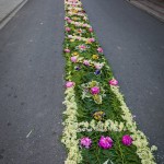IMG_4057
