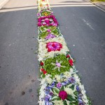 IMG_4058